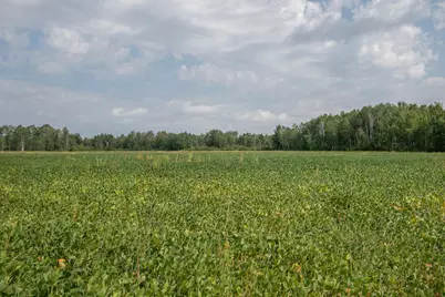 Tbd County Road 11, Aitkin, MN 56431 - Photo 22
