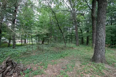 Tbd 241st Avenue NE, Stacy, MN 55079 - Photo 4