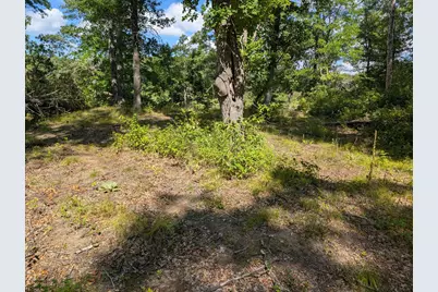 Lot 9 Block 1 Fawn Lake Road, Crosslake, MN 56442 - Photo 10