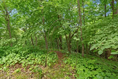 22101 County Road 13, New Ulm, MN 56073 - Photo 68