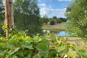 1008 Hidden Meadow Ln, Lake City, MN 55041 - Photo 90