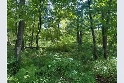 19955 Jeffrey Avenue N, Forest Lake, MN 55025 - Photo 34