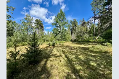 Tbd River Forest Road, Roseau, MN 56751 - Photo 6