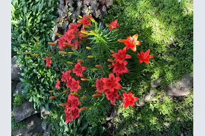 1331 Frank Hall Drive, Albert Lea, MN 56007 - Photo 16