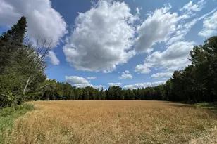 10852 W Toivola Rd, Toivola, MN 55765 - Photo 36