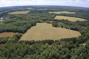 10852 W Toivola Rd, Toivola, MN 55765 - Photo 4