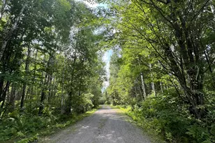 10852 W Toivola Rd, Toivola, MN 55765 - Photo 40