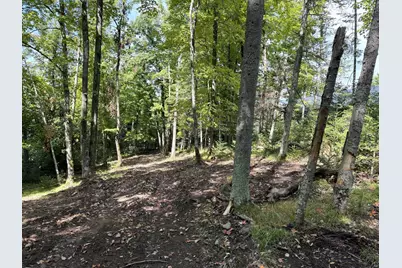 Tbd2 Long Lake Road, Stone Lake, WI 54876 - Photo 10