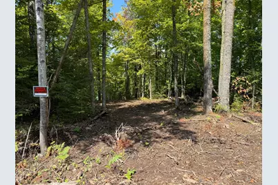 Tbd2 Long Lake Road, Stone Lake, WI 54876 - Photo 12