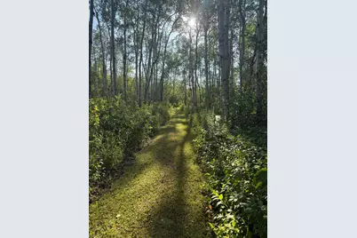 24247 County Road 15, Badger, MN 56714 - Photo 14