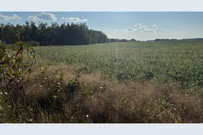 24247 County Road 15, Badger, MN 56714 - Photo 18