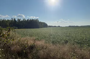 24247 Co Rd 15, Badger, MN 56714 - Photo 20