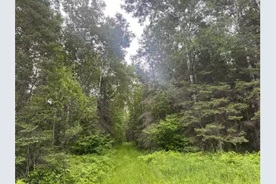 33Xx Quaal Road, Forbes, MN 55738 - Photo 18