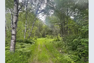 33Xx Quaal Road, Forbes, MN 55738 - Photo 14
