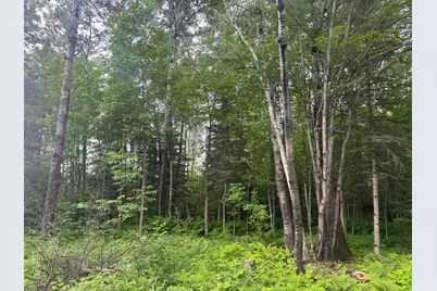 33Xx Quaal Road, Forbes, MN 55738 - Photo 20