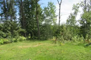 40227 Co Rd 106, Emily, MN 56447 - Photo 1