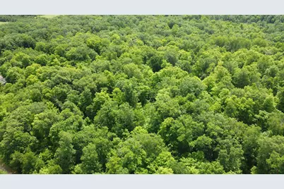 Tbd 355th Street, Richville, MN 56576 - Photo 8