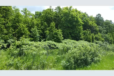 Tbd 355th Street, Richville, MN 56576 - Photo 12
