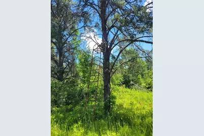 Tbd 150th, Mcgrath, MN 56350 - Photo 26
