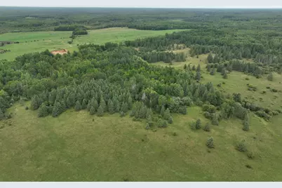 Tbd County Rd 31, Northome, MN 56661 - Photo 4