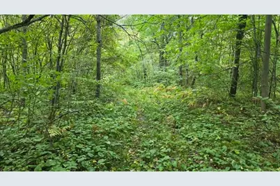 10501 N County Hwy M Highway, Springbrook, WI 54875 - Photo 22