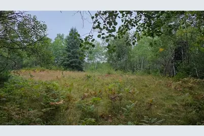 10501 N County Hwy M Highway, Springbrook, WI 54875 - Photo 24