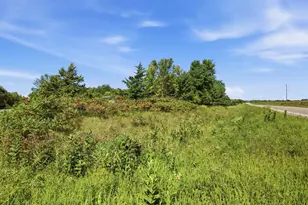 13392 County Rd 4 NE, Spicer, MN 56288 - Photo 32