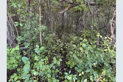 40099 Us-71, Bertha, MN 56437 - Photo 20