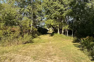 40099 US-71, Bertha, MN 56437 - Photo 16