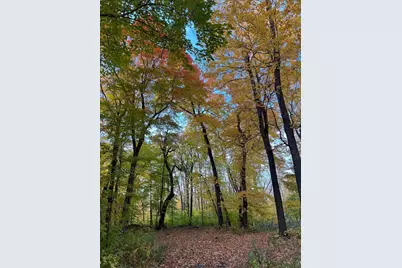 30315 River Pointe Trail, Underwood, MN 56586 - Photo 6