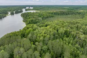24871 E Long Lake Rd, Bigfork, MN 56628 - Photo 38
