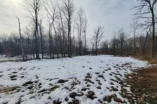 Tbd Xxxx Black Bear Dr SW, Motley, MN 56466 - Photo 1