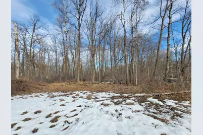 Tbd Xxxx Black Bear Drive SW, Motley, MN 56466 - Photo 4