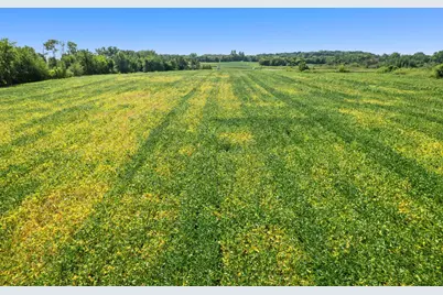 Tbd 260th Street E, Elko New Market, MN 55020 - Photo 10