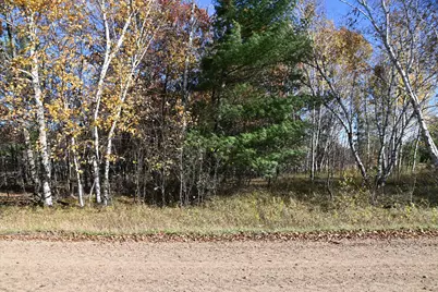 Tbd Pacer Loop, Browerville, MN 56438 - Photo 2