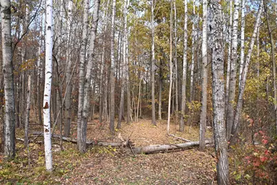 39924 Oriole Court, Browerville, MN 56438 - Photo 4