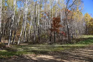 39924 Oriole Ct, Browerville, MN 56438 - Photo 1