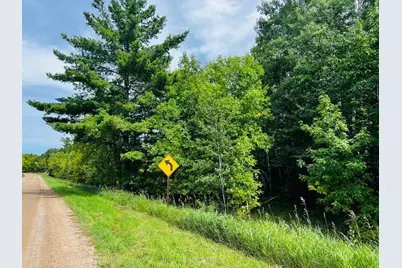 Tbd Co Hwy 27, Rochert, MN 56578 - Photo 10