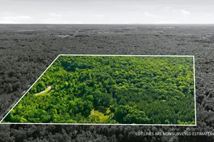 2535 11th Ave, Chetek, WI 54728 - Photo 1