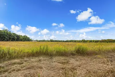 Xxx County Road 12, Princeton, MN 55371 - Photo 4
