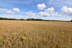 1297 County Road 2 NW, Williams, MN 56686 - Photo 16