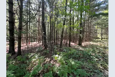 14670 Cross Lake Road, Pine City, MN 55063 - Photo 8