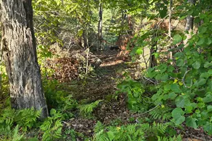 14647 Anjonabe Ct SE, Bemidji, MN 56601 - Photo 48
