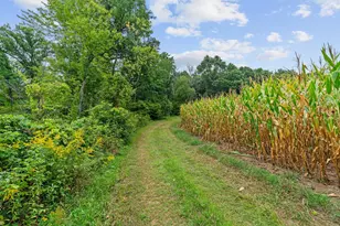2011 State Road 87, Saint Croix Falls, WI 54024 - Photo 14