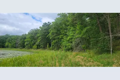 Tbd Cedar Road, Cushing, MN 56443 - Photo 12