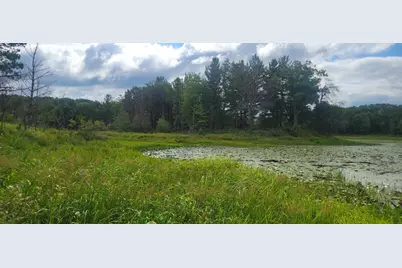 Tbd Cedar Road, Cushing, MN 56443 - Photo 14