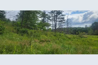 Tbd Cedar Road, Cushing, MN 56443 - Photo 6