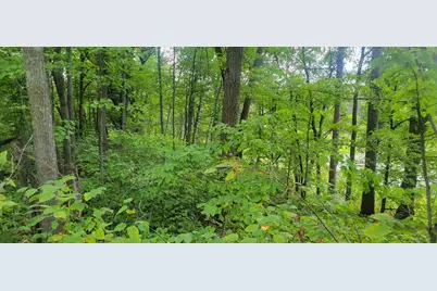 Tbd Cedar Road, Cushing, MN 56443 - Photo 8