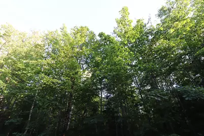 36Xx N Shore Road, La Pointe, WI 54850 - Photo 2