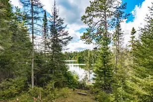 10401 Gunsten Lake Dr, Isabella, MN 55607 - Photo 16